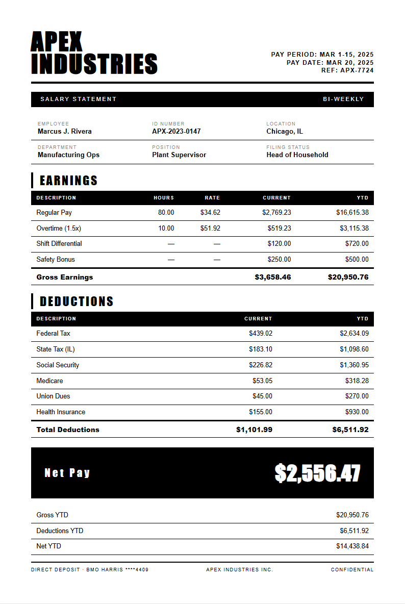 Monochrome Stark Payslip